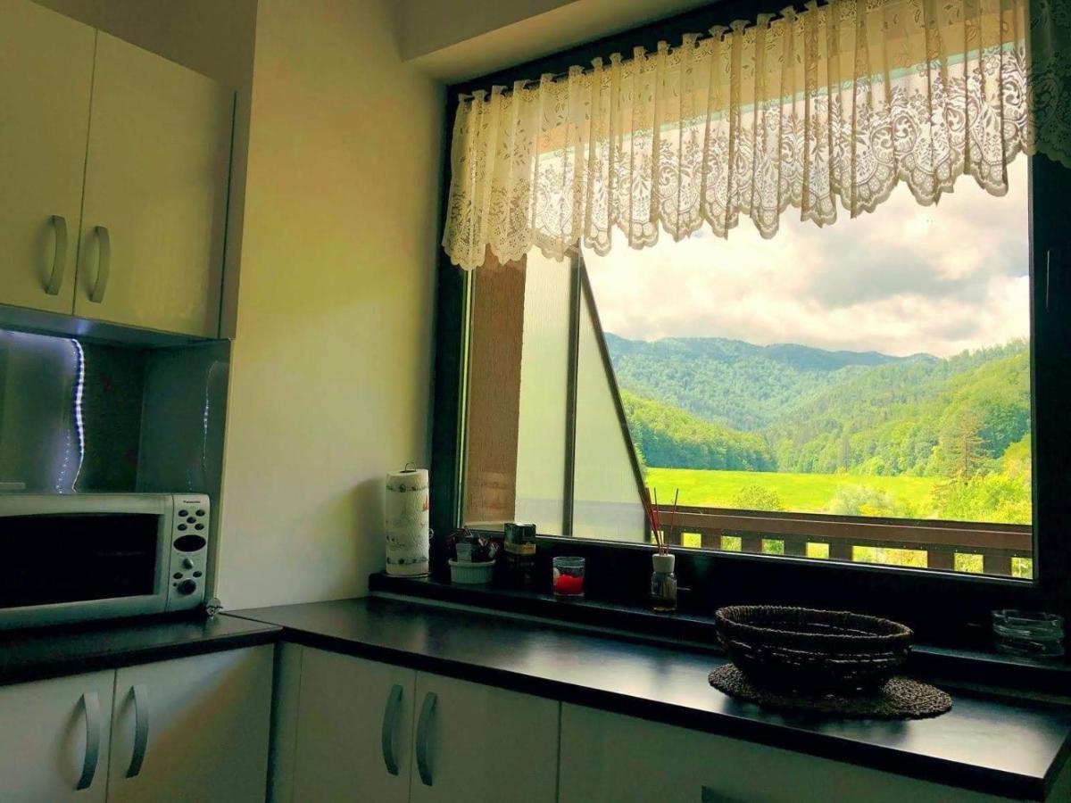 Tampa Gardens Apartment Braszów Zewnętrze zdjęcie